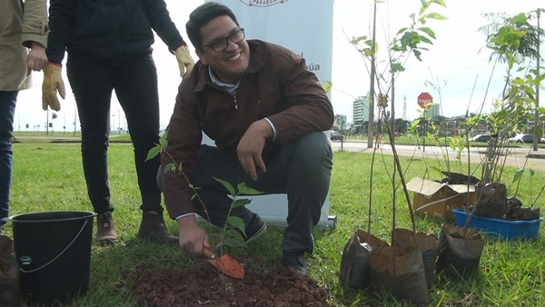 Plantación de árboles de sakura embellece la ciudad gracias a una generosa donación