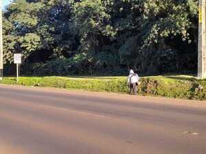 Ejecutan tareas de limpieza en los accesos al casco urbano de Encarnación