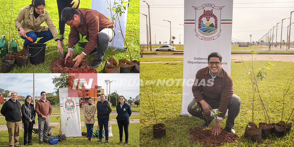 PLANTACIÓN DE ARBOLITOS DE SAKURA Y RECONOCIMIENTO A CIUDADANOS COMPROMETIDOS CON EL HERMOSEAMIENTO URBANO - Itapúa Noticias