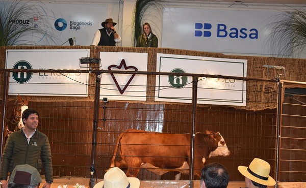 Braford cerró la Expo MRA con 100% de ventas en Reproductores a Campo y Bozal