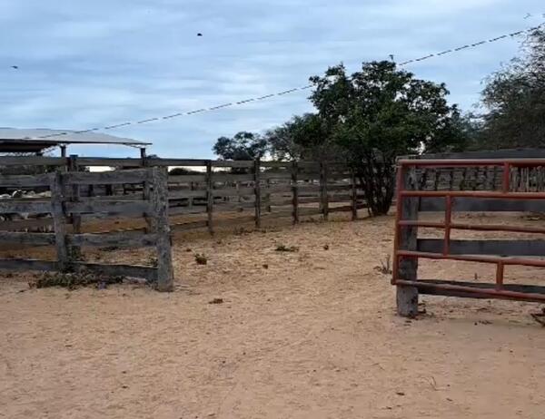 Diario HOY | Caso de homonimia termina en “robo” de estancia en el Chaco