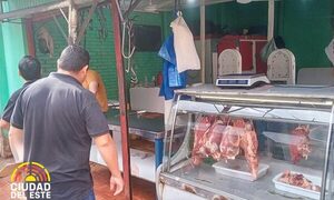 Verifican salubridad en carnicerías de barrios Belén y Don Bosco, y el Mercado de Abasto – Diario TNPRESS