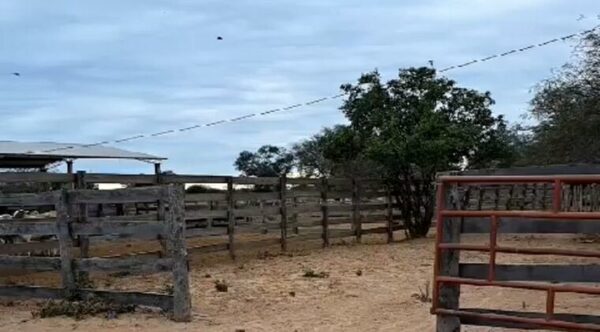 Caso de homonimia termina en “robo” de estancia en el Chaco - Radio Imperio