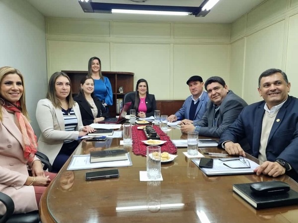 DEL PILAR VÁZQUEZ LOGRA LA PRESIDENCIA DE IMPORTANTE COMISIÓN EN DIPUTADOS - Itapúa Noticias
