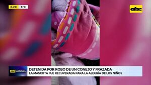 Video: Detenida por robo de un conejo y frazada   - ABC Noticias - ABC Color
