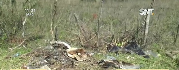 Valenzuela: Hallaron un cuerpo calcinado y descuartizado en el cementerio municipal - SNT