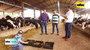 Video: la sucesión en empresas familiares y cómo planificarlas - ABC Rural - ABC Color