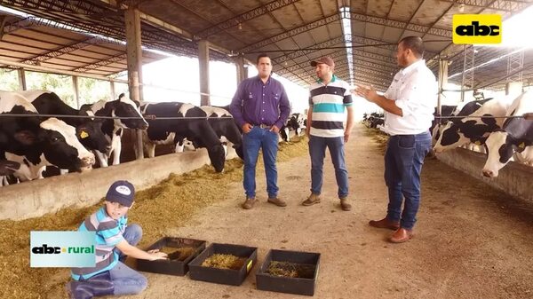 Video: la sucesión en empresas familiares y cómo planificarlas - ABC Rural - ABC Color