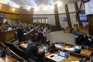 Diputados designó de entre sus miembros a representantes ante el Parlasur - El Trueno