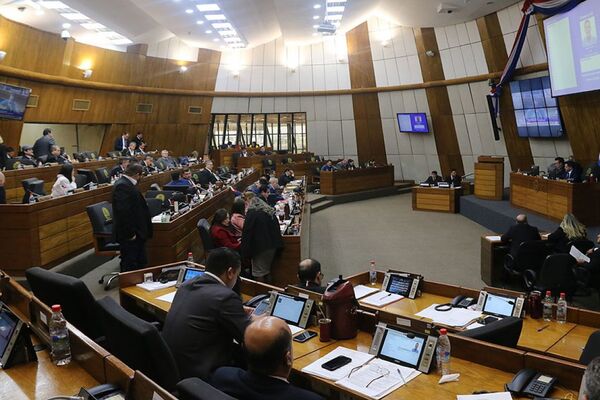 Diputados designó de entre sus miembros a representantes ante el Parlasur - El Trueno