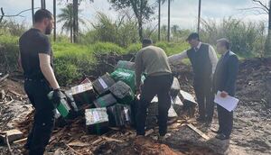 Destruyen más de 900 kilos de marihuana por disposición judicial