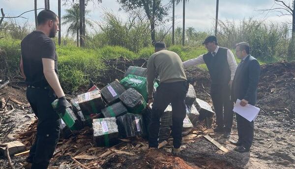 Destruyen más de 900 kilos de marihuana por disposición judicial