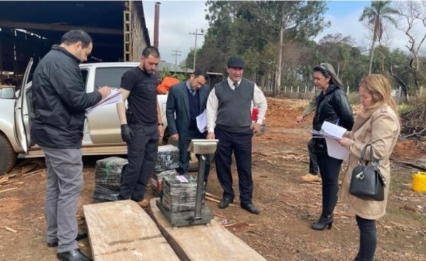 Destruyen más de 900 kilos de marihuana por disposición judicial