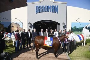 Solo trámite burocrático para apertura de  EEUU a la carne, según embajador - Economía - ABC Color