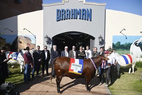 Solo trámite burocrático para apertura de EEUU a la carne, según embajador - Economía - ABC Color