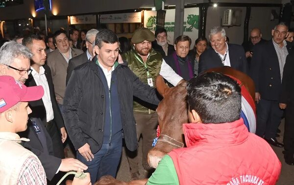 Santiago Peña defiende fusión de la SET Aduanas y espera que se apruebe - Economía - ABC Color