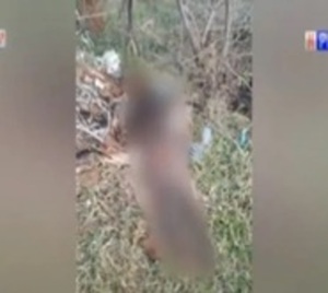 Cádaver encontrado en Valenzuela será sometido a autopsia este jueves - Paraguay.com