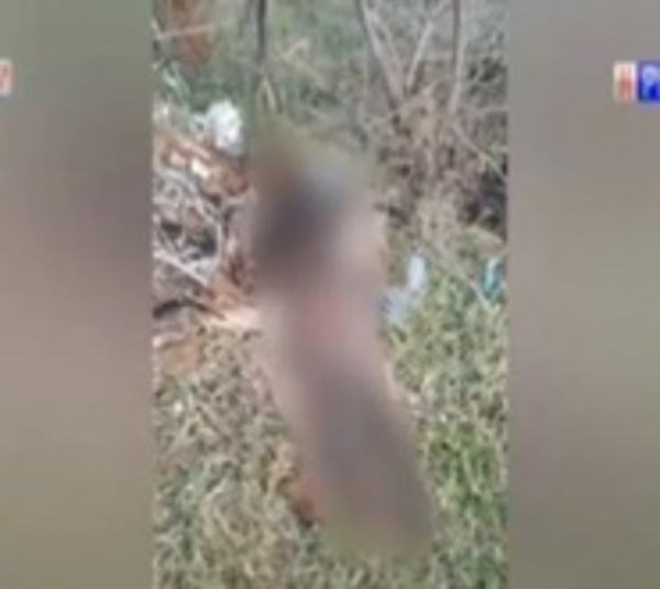 Cádaver encontrado en Valenzuela será sometido a autopsia este jueves - Paraguay.com