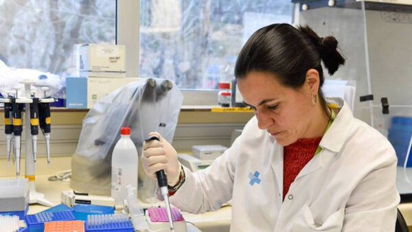 Un nuevo caso de remisión del VIH tras un trasplante de médula ósea