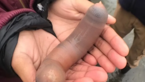 En Argentina una tormenta dejó “regalitos” en forma de pene