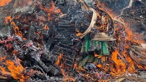 Destruyen más de 900 kilos de marihuana por disposición judicial - ABC en el Este - ABC Color
