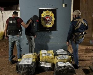 Senad confisca cerca de 300 kilos de marihuana en Amambay - El Independiente