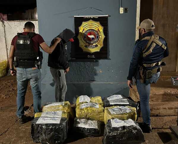 Senad incauta cerca de 300 kilos de marihuana en Amambay | OnLivePy
