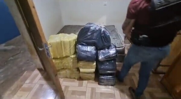 Senad allana vivienda en PJC e incauta 284 kilos de marihuana - trece
