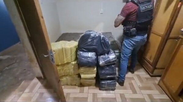 Senad incauta 284 kilos de marihuana durante allanamiento en PJC - Unicanal