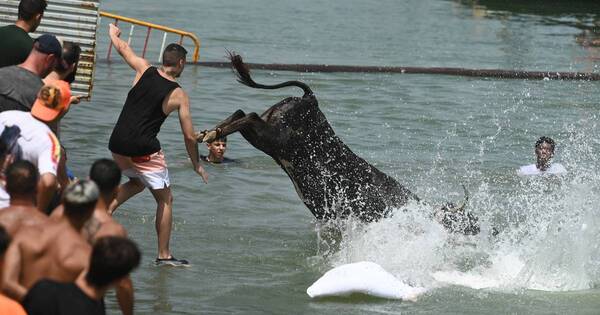 La Nación / El mar español registró un récord de calor