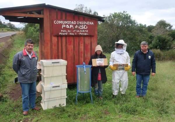 Gobernación de Itapúa equipos e insumos agrícolas y apícolas a comunidades nativas de Pirapó
