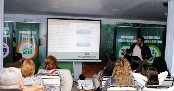 La Nación / Fenómeno El Niño afectaría al sector productivo con precipitaciones intensas, afirman