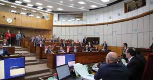 La Nación / Senado sanciona ley que fusiona la SET y Aduanas bajo la Dirección de Ingresos Tributarios