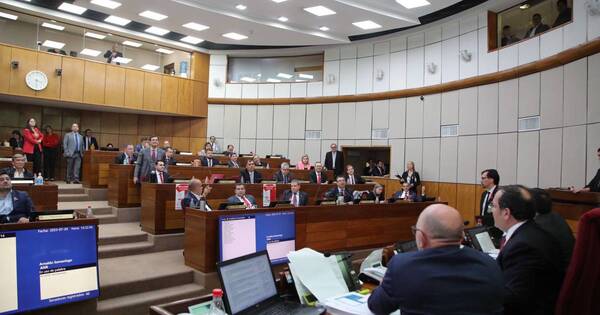 La Nación / Senado sanciona ley que fusiona la SET y Aduanas bajo la Dirección de Ingresos Tributarios