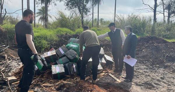 La Nación / Destruyen más de 916 kilos de marihuana por disposición judicial