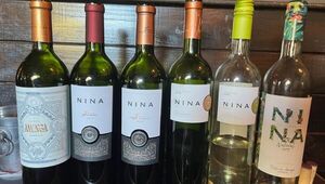 ¡No solo hay Malbec! El Torrontés, el Petit Petit Verdot y el Cabernet Franc ganan terreno en Paraguay