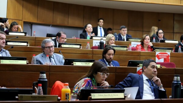 Senado sanciona creación de la DNIT y va al Ejecutivo para promulgación