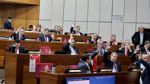 Erico queda sin fueros en el Senado, pero todavía hay chicana pendiente