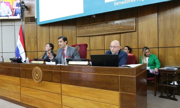 Sancionan proyecto que fusiona la SET y la Dirección Nacional de Aduanas