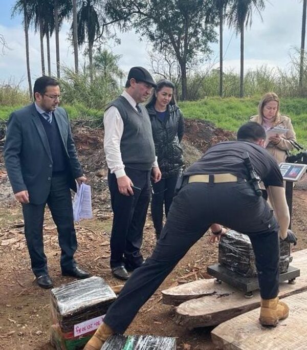 Incineran más de 900 kilos de marihuana por disposición judicial – Diario TNPRESS