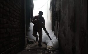 Europa debe prepararse para posibles brotes de dengue tras las olas de calor, según OMS - Mundo - ABC Color