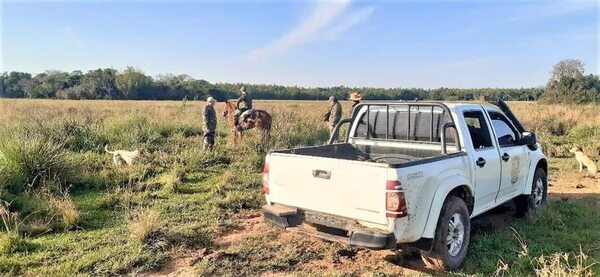Denuncian desaparición de 28 vacunos de un establecimiento ganadero de Caballero - Nacionales - ABC Color