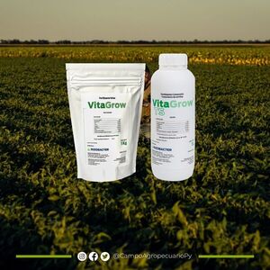 Vitagrow, la propuesta de Rizobacter para enfrentar el estrés climático en los cultivos