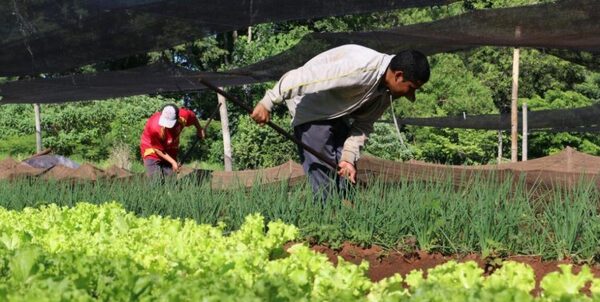 Preparan la “Feria de la Agricultura Familiar campesina, lo nuestro primero”