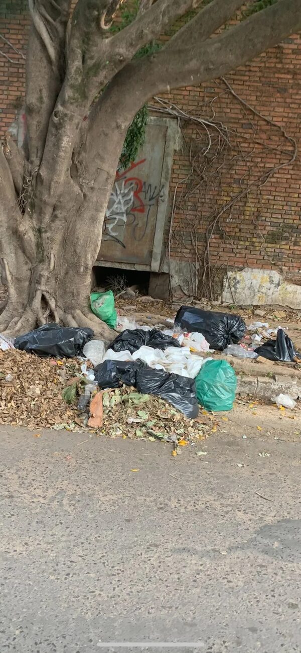Basura acumulada en una esquina de la Avda. España - Crónicas Ciudadanas - ABC Color