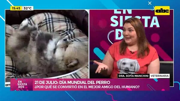 21 de julio: Día Mundial del Perro - Ensiestados - ABC Color