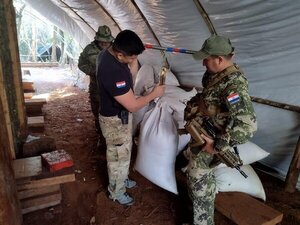 Desmantelan campamentos y eliminan droga en Concepción