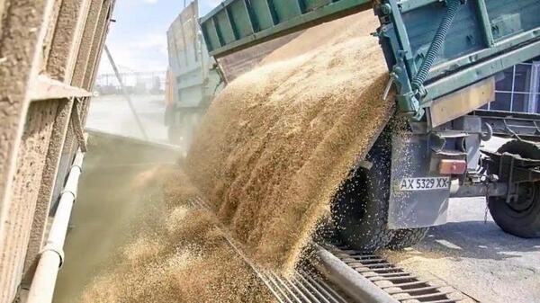 ONU acusa a Rusia de arriesgar seguridad alimentaria - ADN Digital