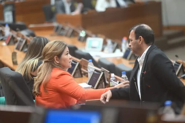 Un crecimiento patrimonial de hasta 58% declararon diputados colorados - Política - ABC Color