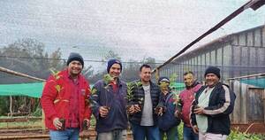 La Nación / Ñacunday invierte para incentivar la producción yerbatera y mejorar renta